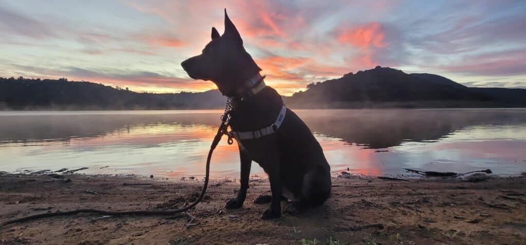 Islay at Lake Hodges Photo Tours