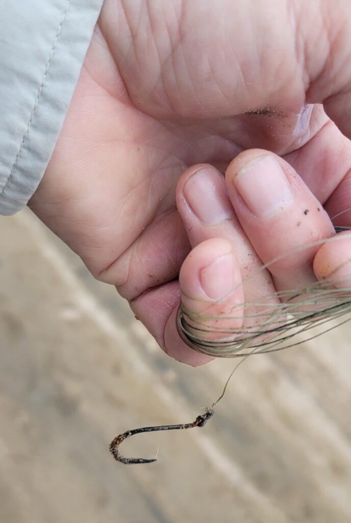 Fishing line removal at Lake Hodges Photo Tours