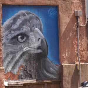 Raptor mural @LakeHodgesPhotoTours
