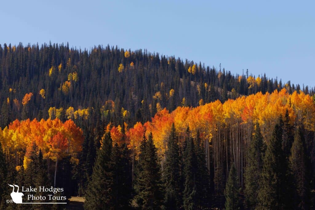 The spectacular fall colors of AZ @LakeHodgesPhotoTours