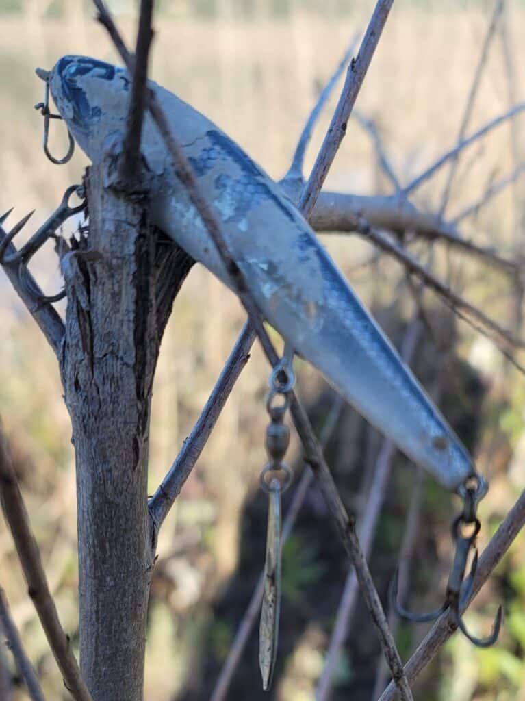 Fishing lure @LakeHodgesPhotoTours